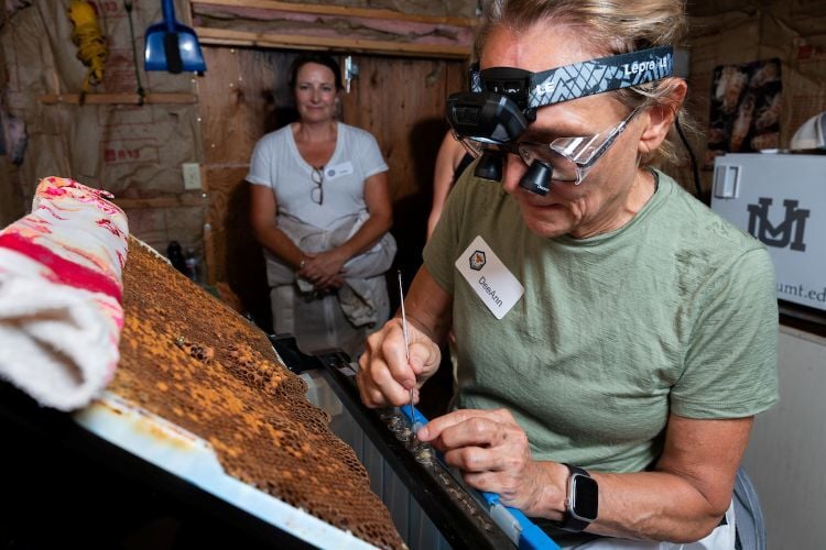 A beekeeping instructor inspects a hive