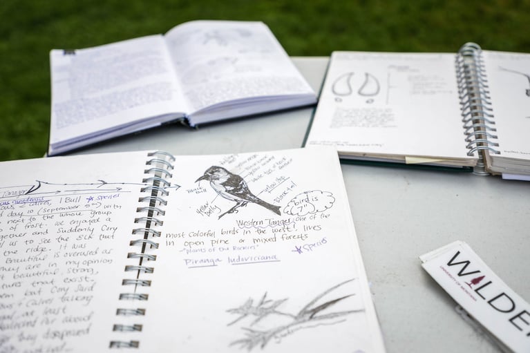 Best Study Spots at UM