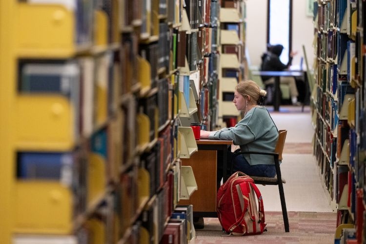 Studying in the Mansfield Library