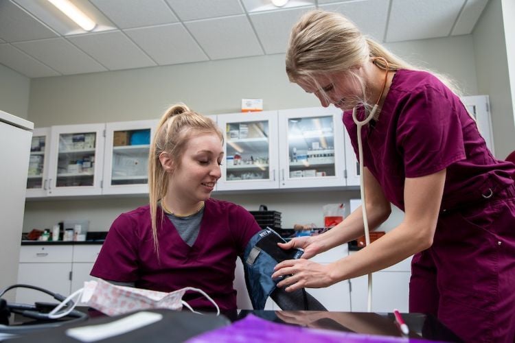 Student taking another student's blood pressure