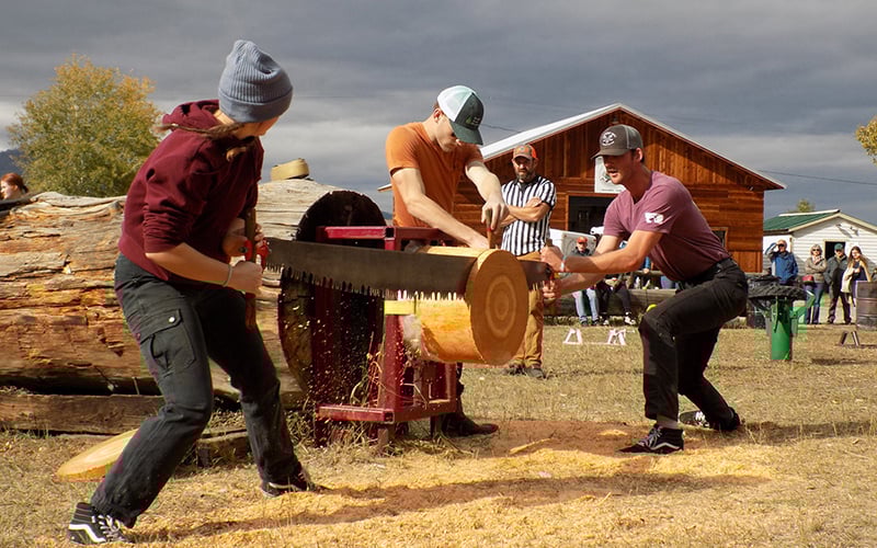 Members of UM's Woodsman Team club take part in a log-sawing content