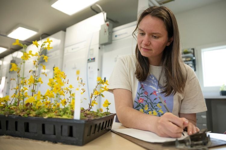 A student writing on a clipboard while looking at monkey flowers
