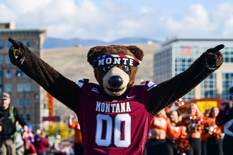 The Bear Necessities Guide to Health Insurance