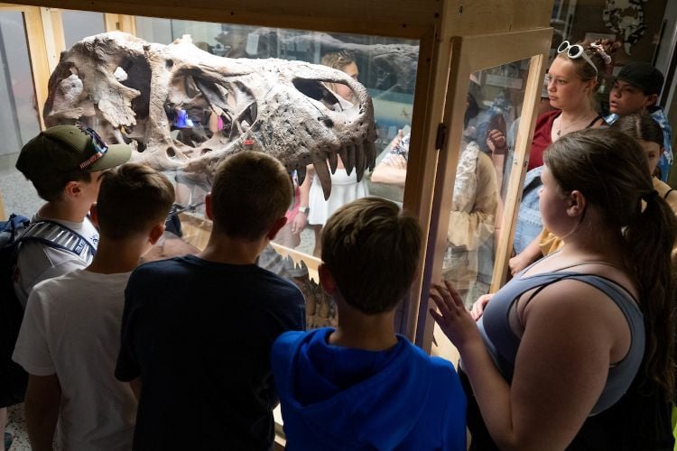 a t-rex cast on the first floor of the Clapp Building
