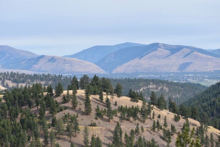 Mount Sentinel and Mount Jumbo seen from the O'Brien Creek Trail