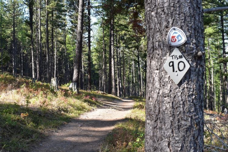 The Sam Braxton National Recreation Trail within Pattee Canyon National Recreation Area