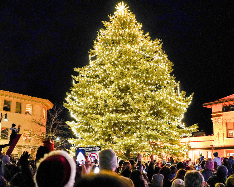 holiday tree in downtown missoula being lit up