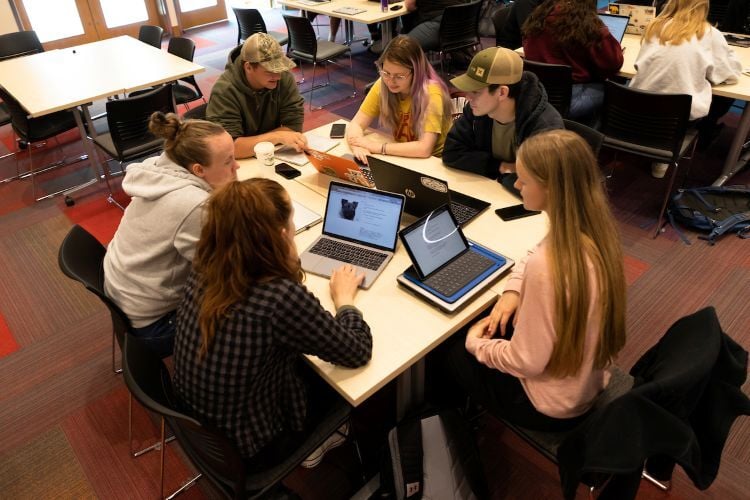 A group of students studying at the library