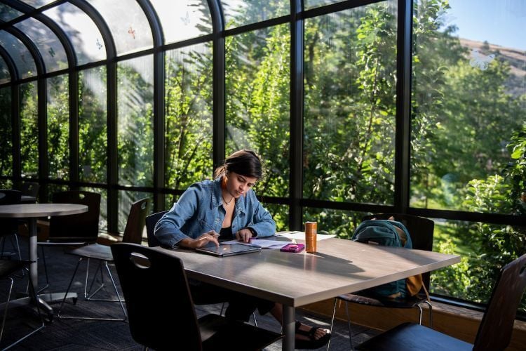 A student studying in the University Center
