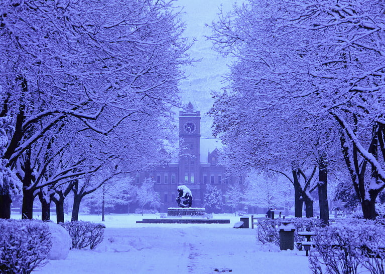 Your Guide to Indoor Winter at UM