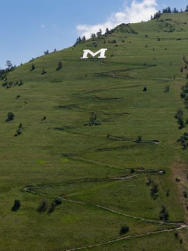The M Trail