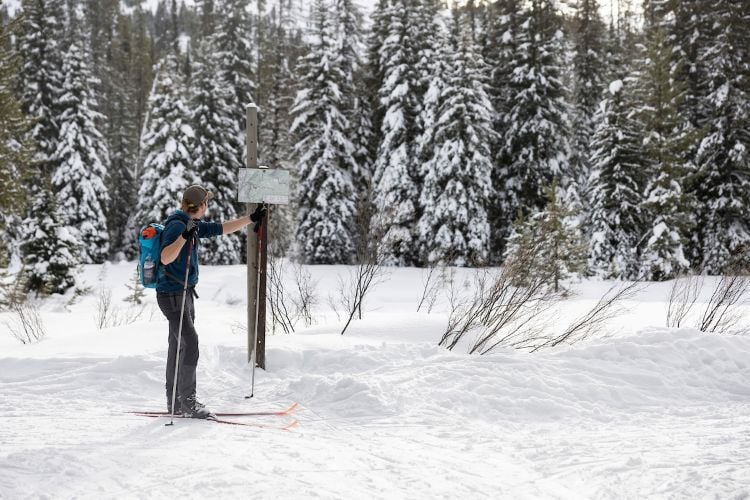 Cross-Country Skiing at Lolo Pass