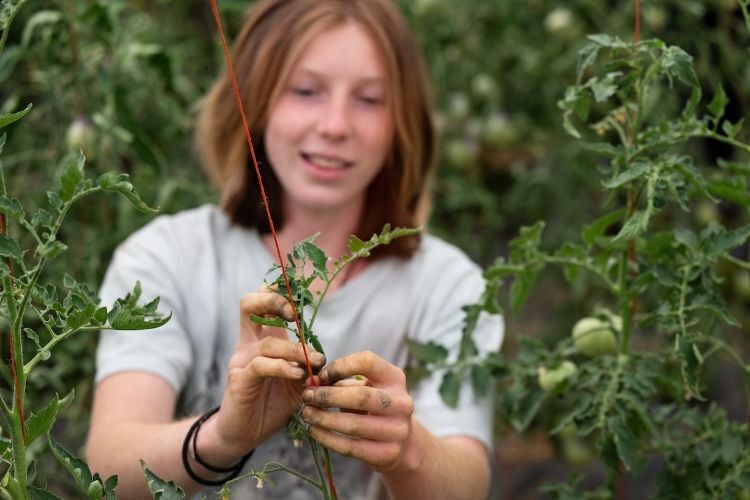 A student trimming plants at the PEAS Farm
