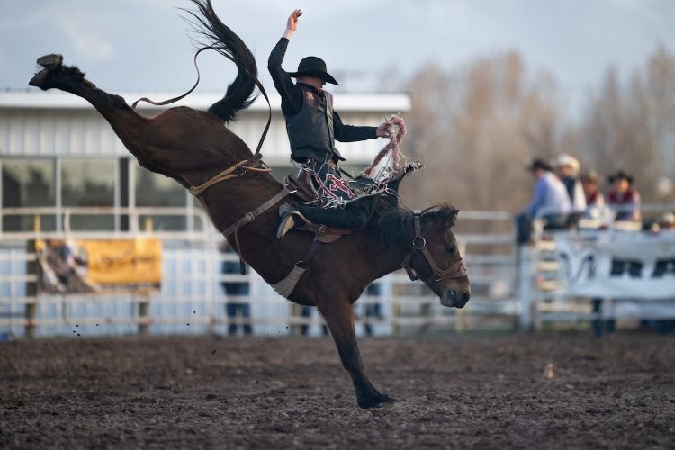 A UM Rodeo Student-Athlete on a bucking horse