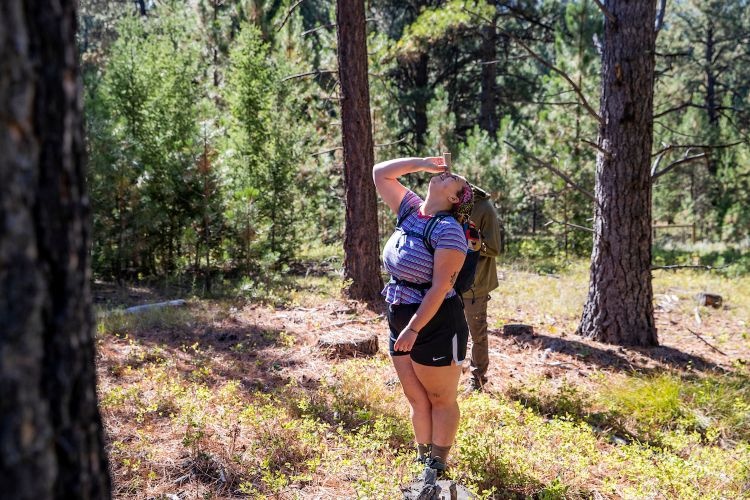 A hiker looking up into the trees on a trail