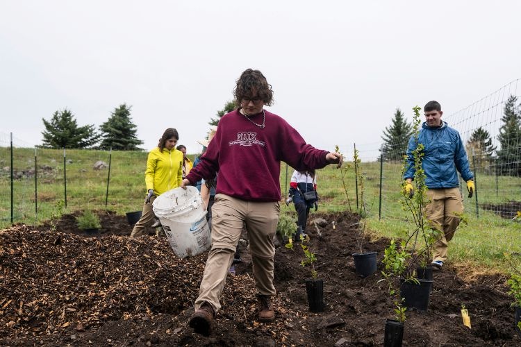 Student volunteers planting trees
