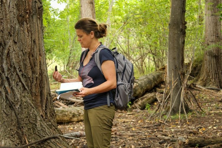 A wildlife bio student searches through Greenough Park