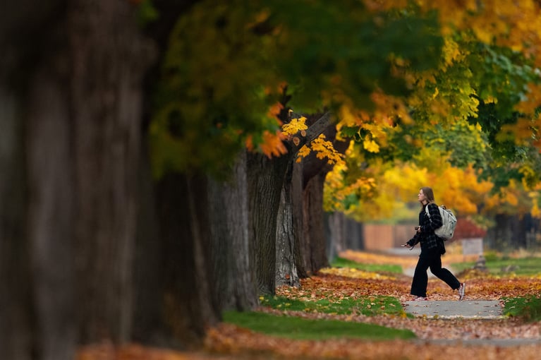 Eight Walking Paths to Clear Your Mind