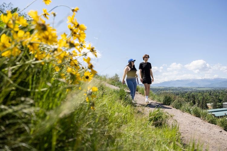 hiking the M trail