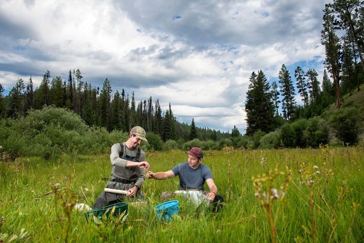 Students in the field