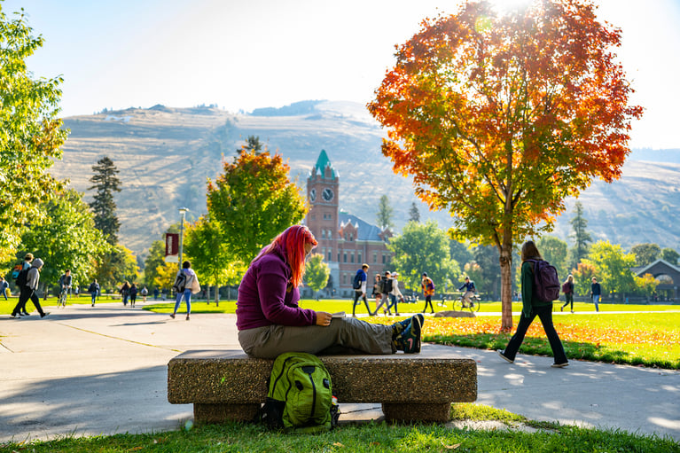 UM’s External Scholarships Office (Plus Scholarships to Apply For)
