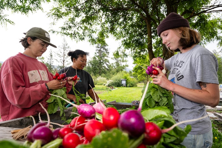 Study Food Systems Outside at UM’s PEAS Farm