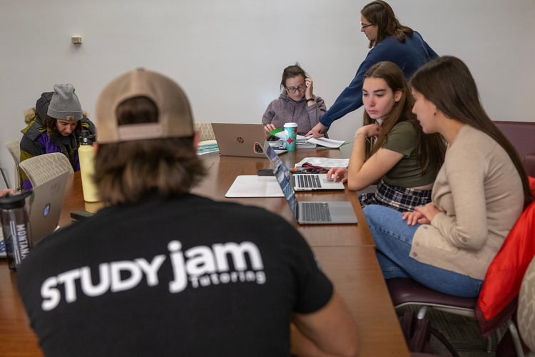 Students and a tutor study their homework