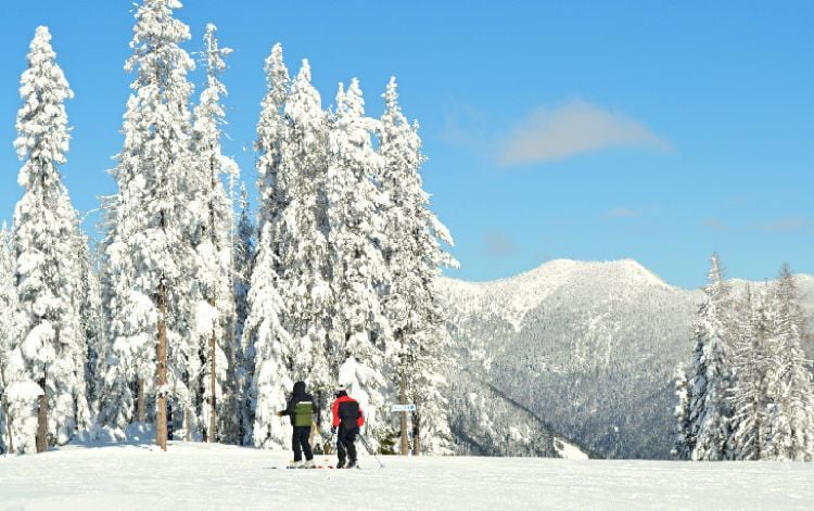 Skiers at Lookout Pass traverse across the top of the mountain to a run surrounded by snow covered trees.