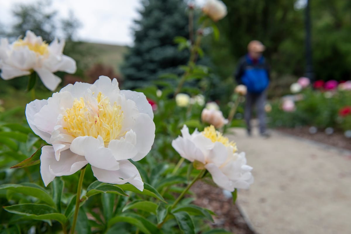 Hidden Gems Across Campus
