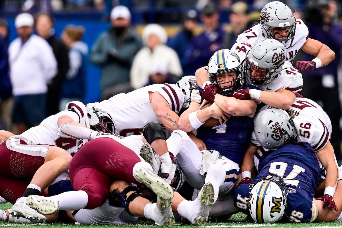 It's Great to be a Griz: Your Guide to the Brawl of the Wild