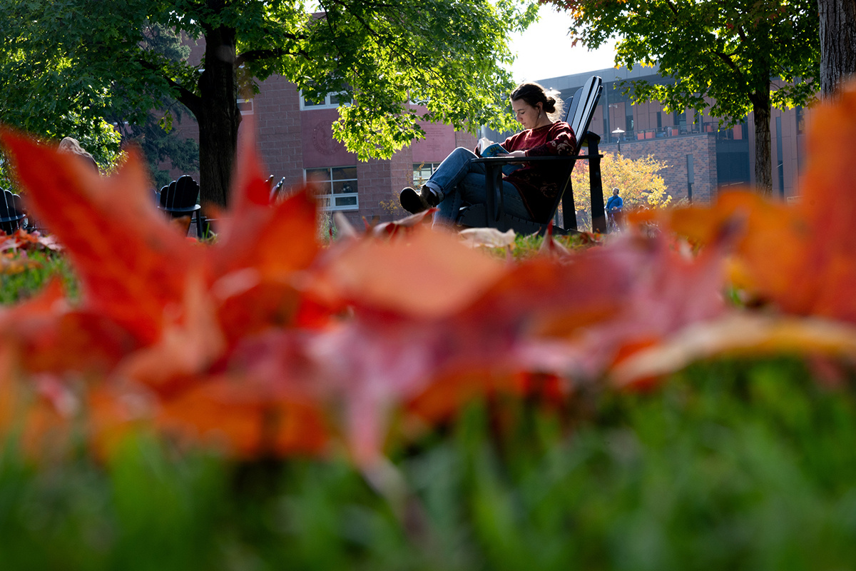 Jobs with a Bachelor's in Creative Writing