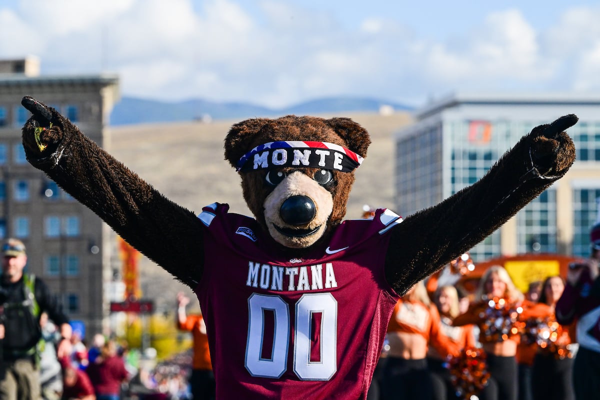 The Bear Necessities Guide to Health Insurance