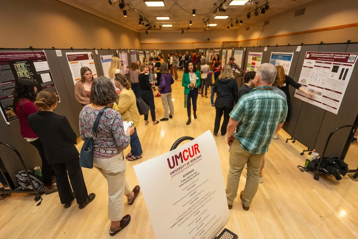 Meet UM's Student Researchers