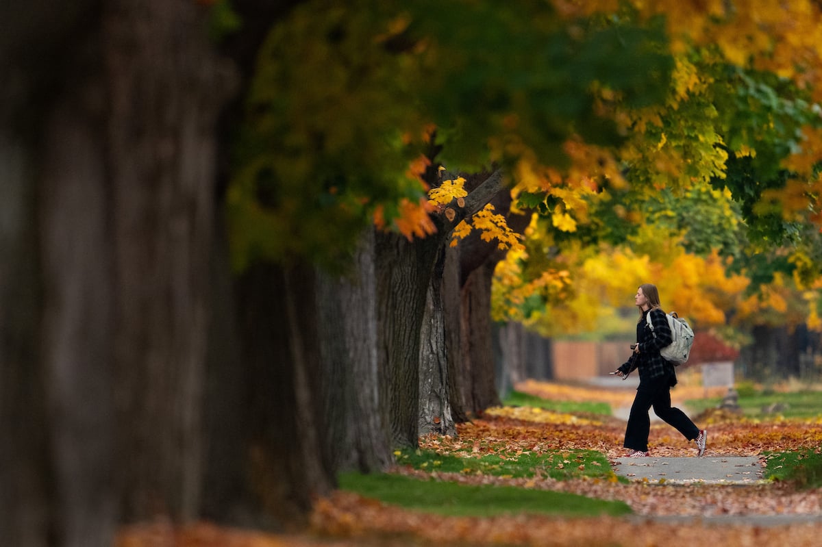 Eight Walking Paths to Clear Your Mind