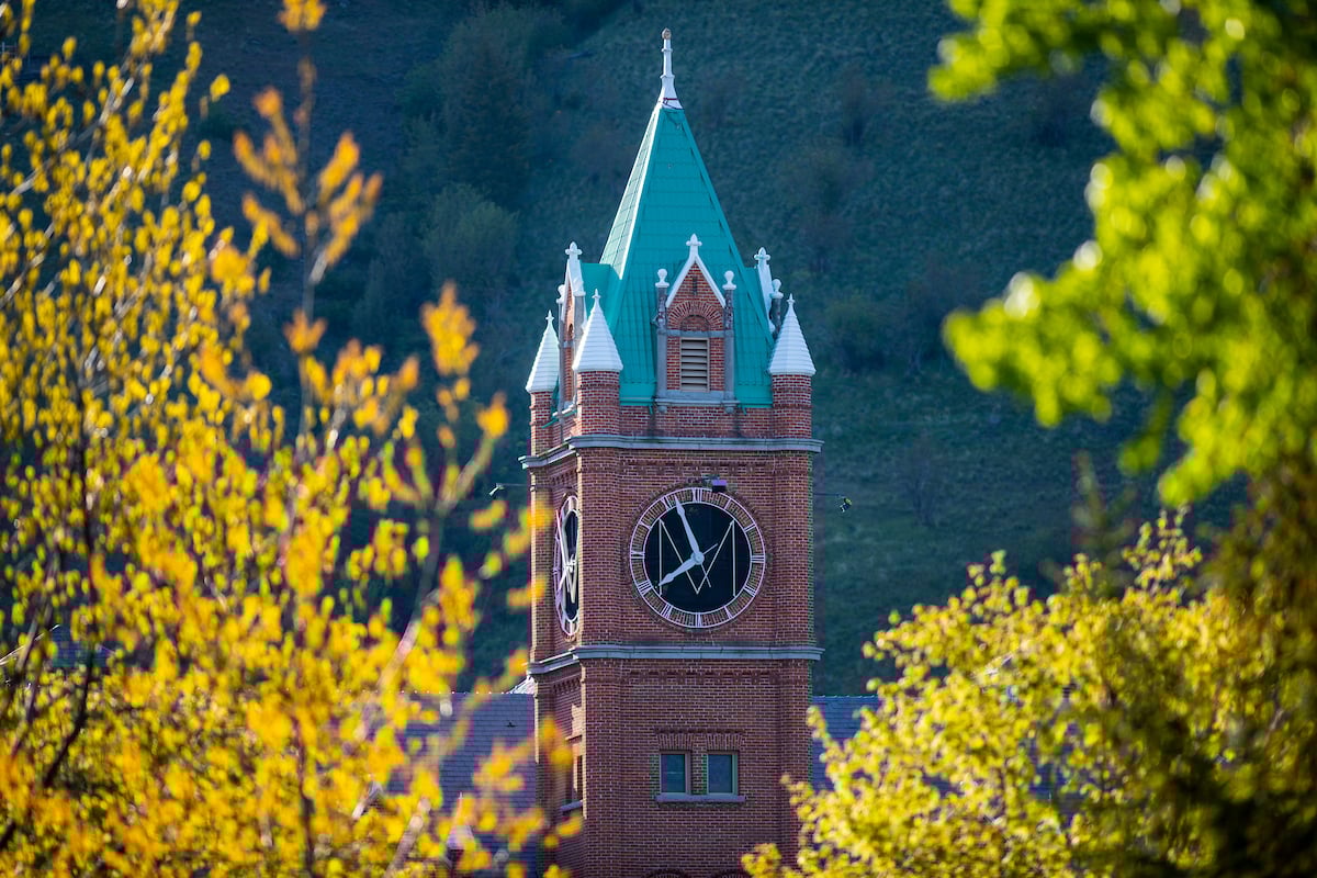 Get Involved with ASUM - UM's Student Government